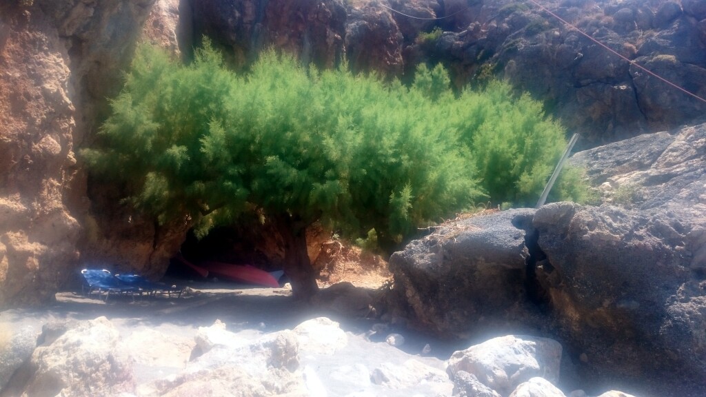 Kreta
