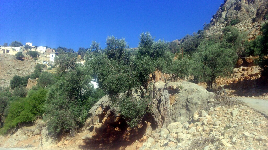 Kreta