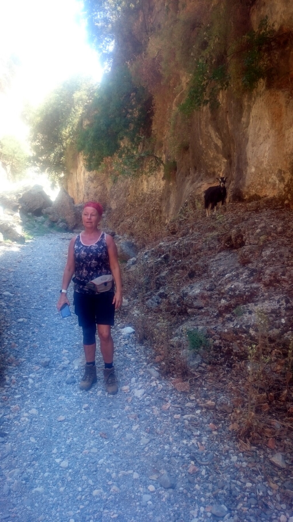 Kreta