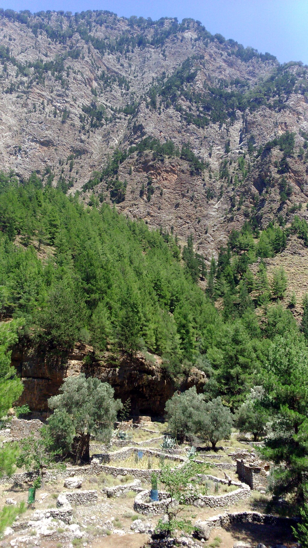 Kreta