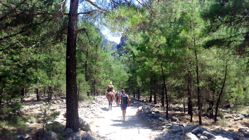 Kreta