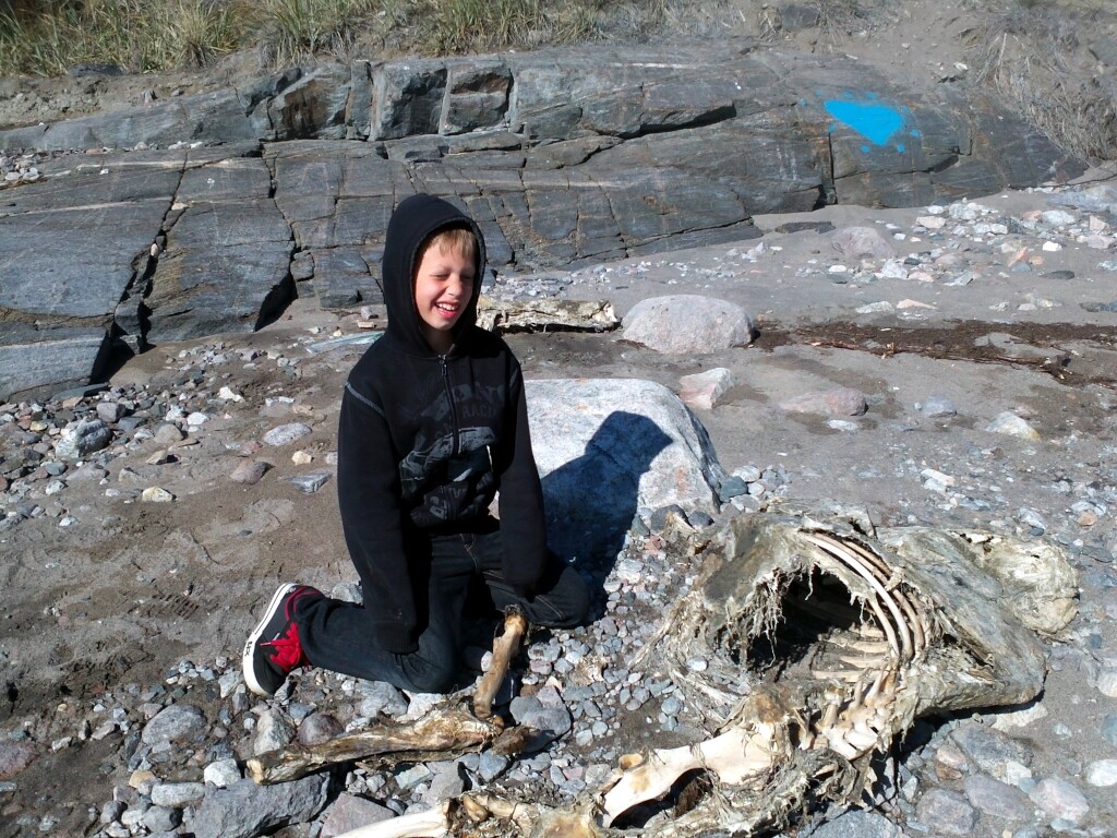 Nordmeer