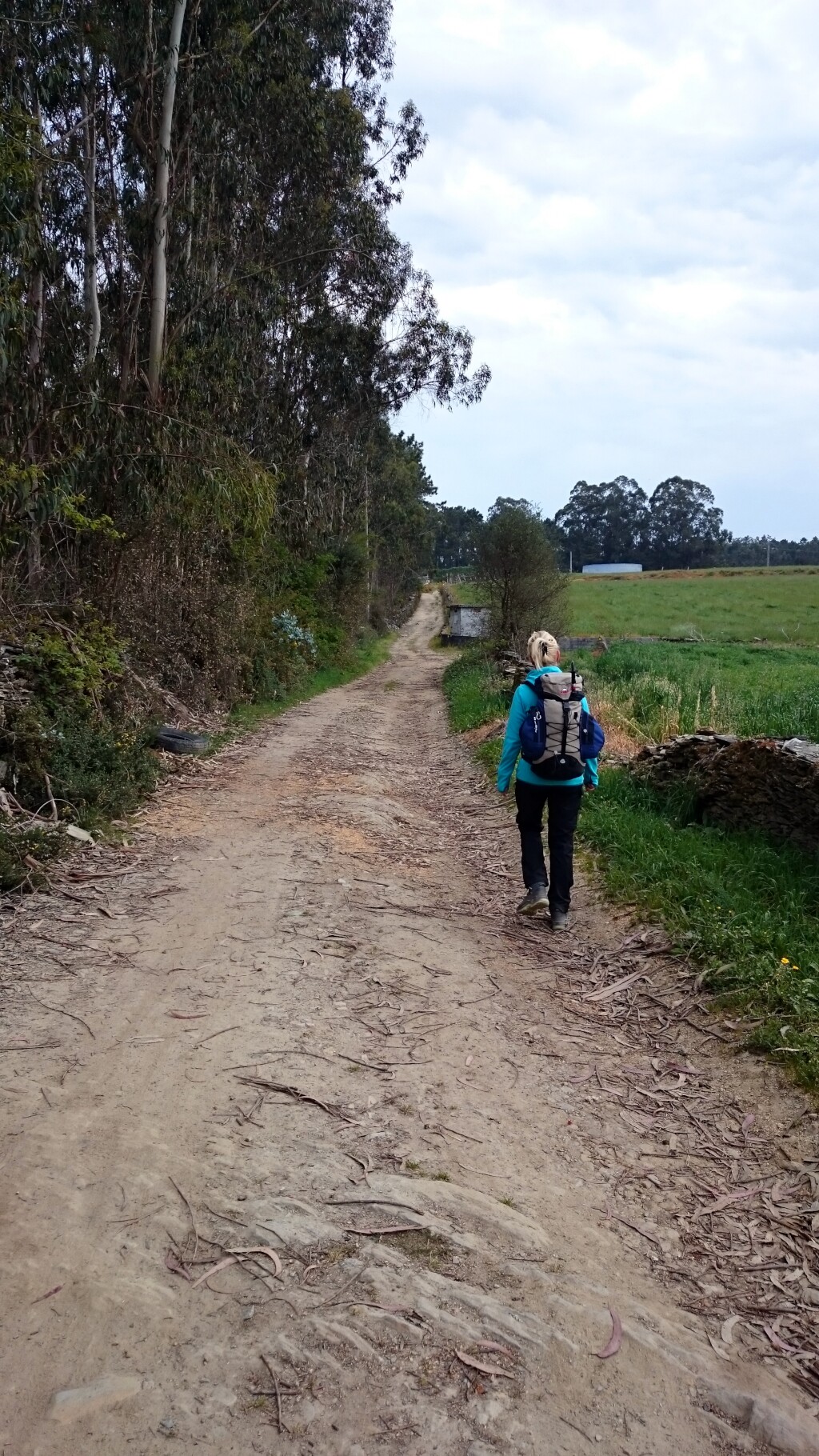 Caminho português