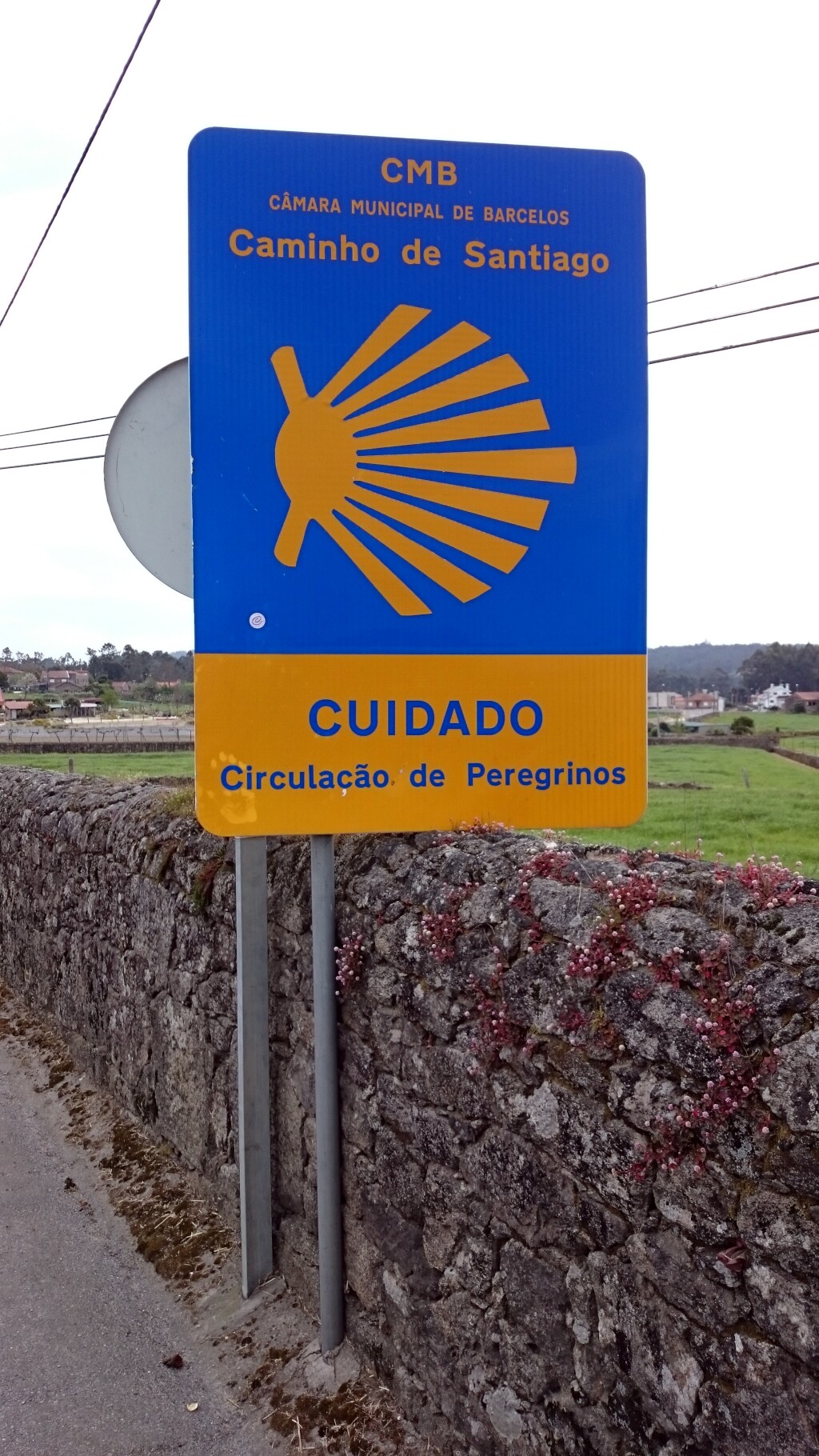 Caminho português