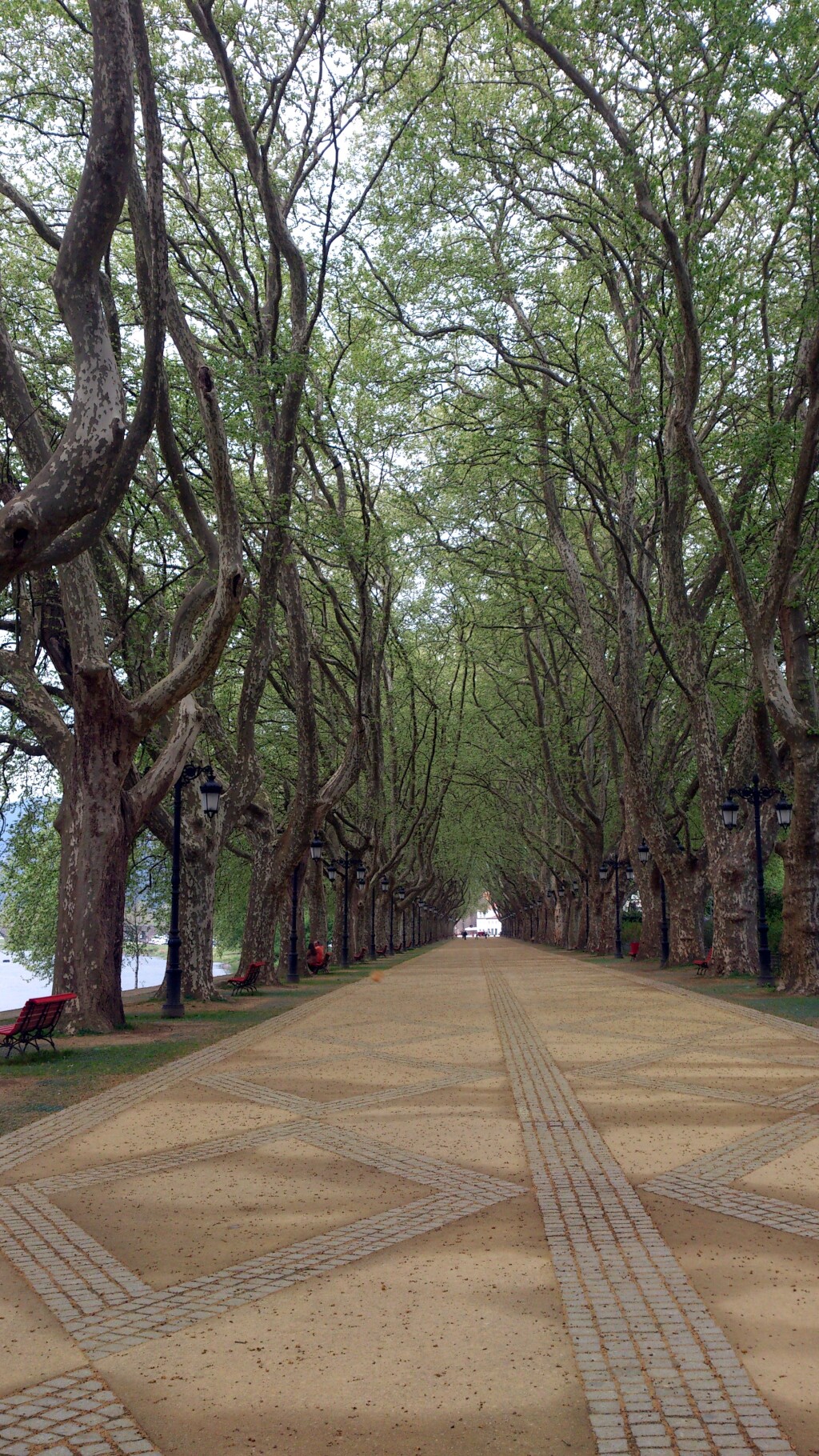 Caminho português