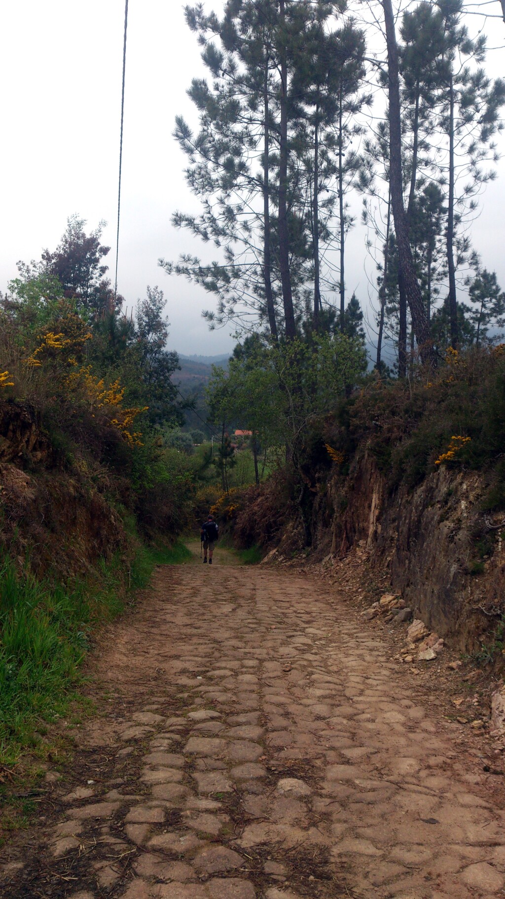 Caminho português