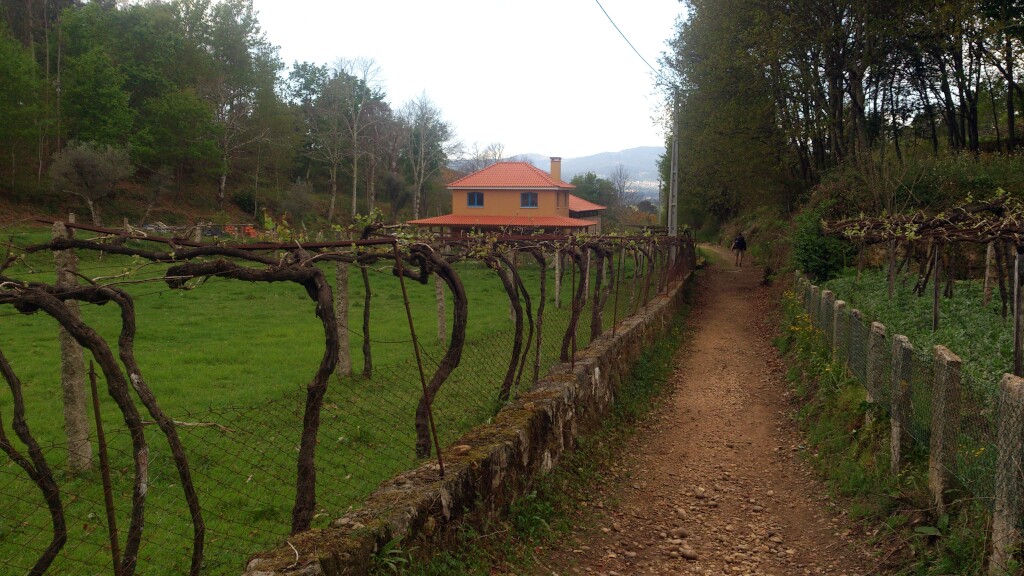 Caminho português