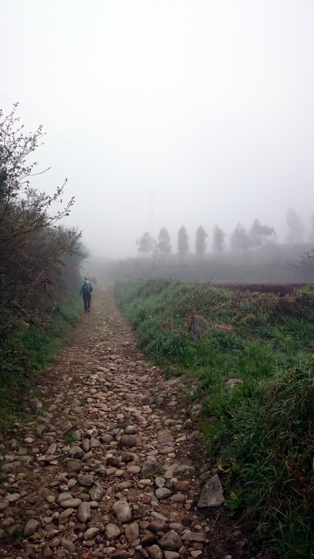Caminho português