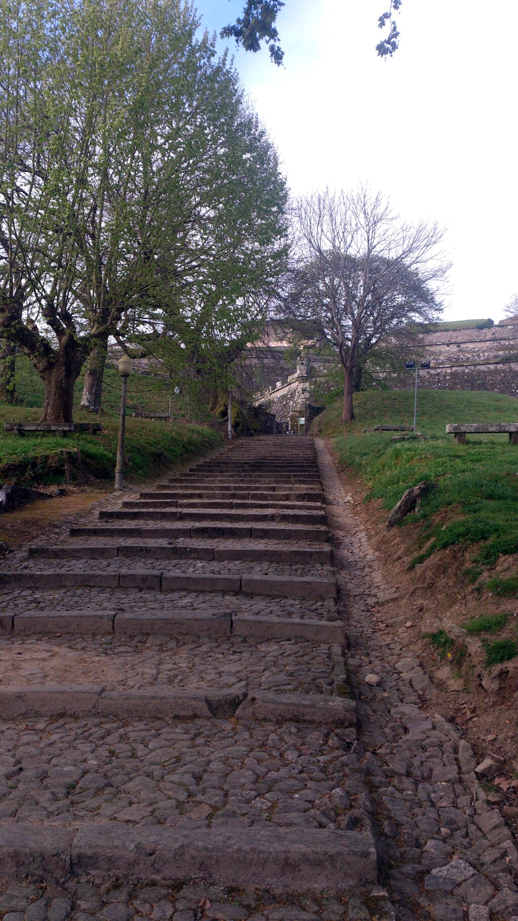 Caminho português
