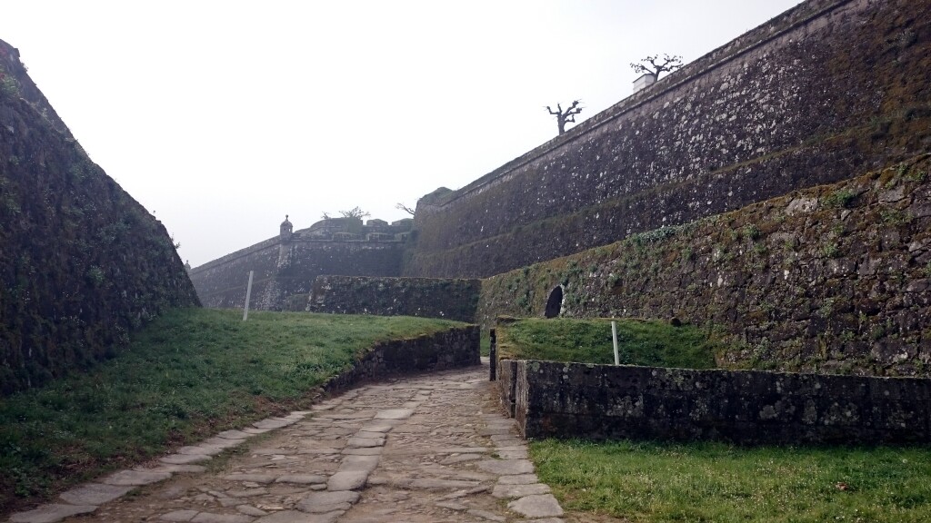 Caminho português