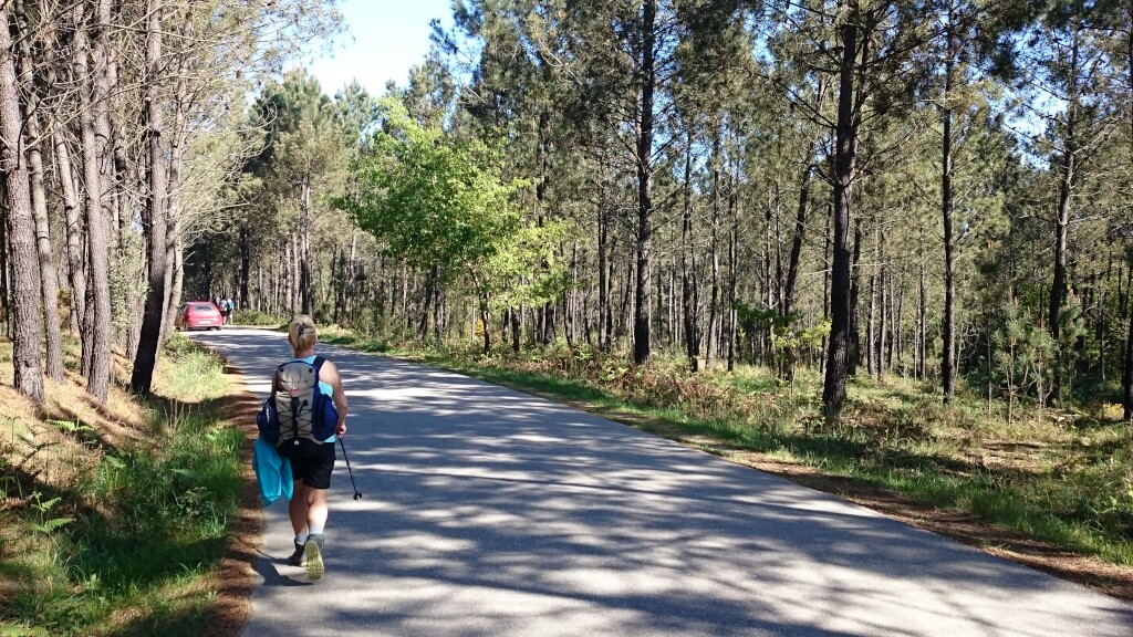 Caminho português