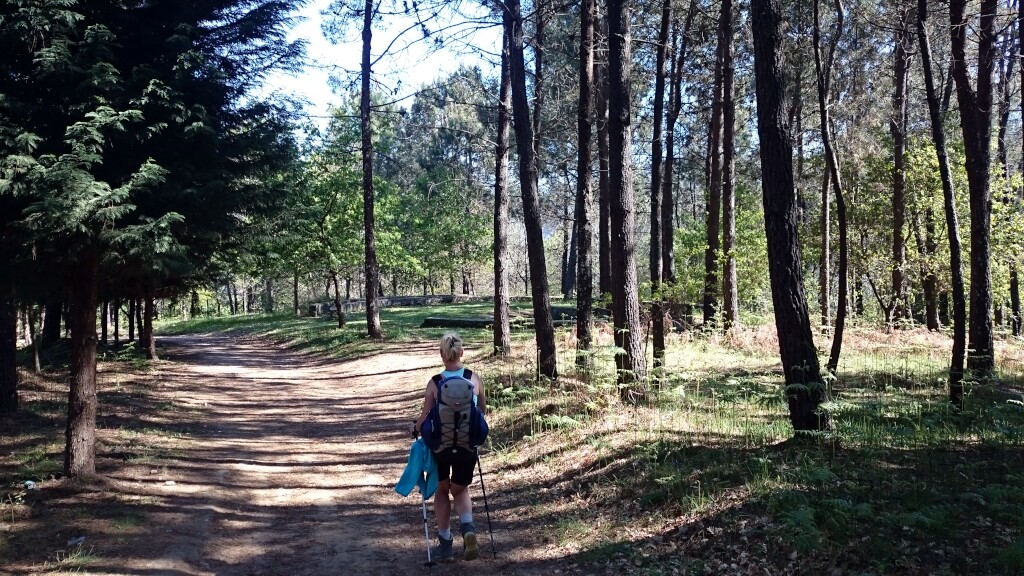 Caminho português