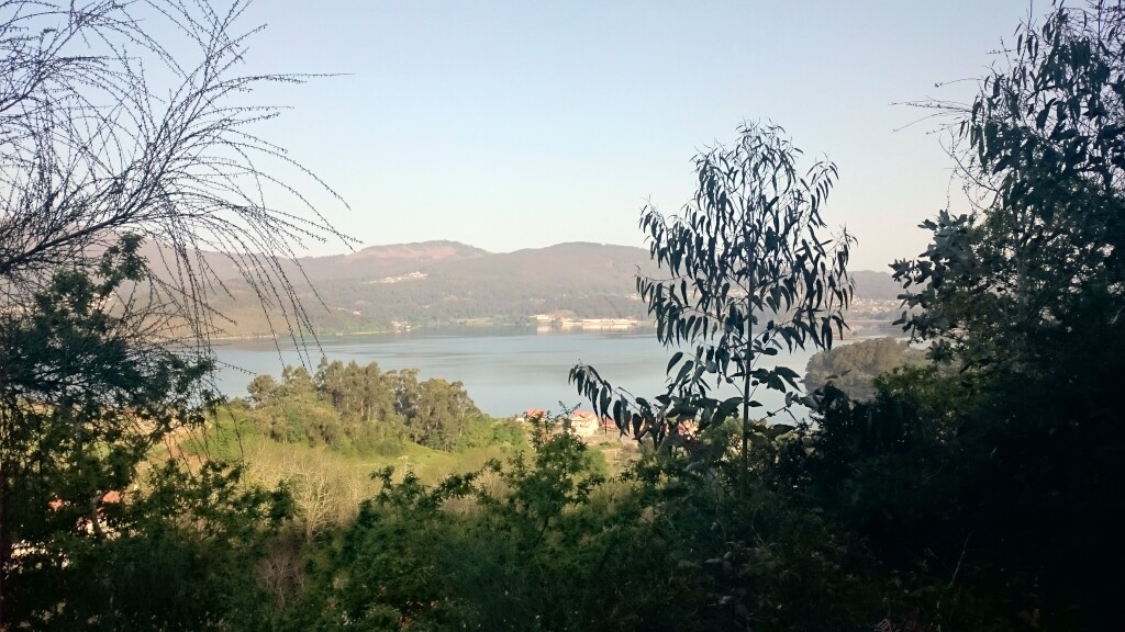 Caminho português
