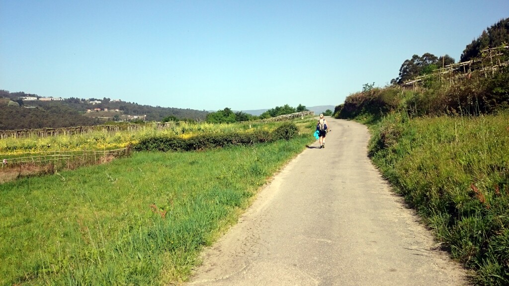 Caminho português