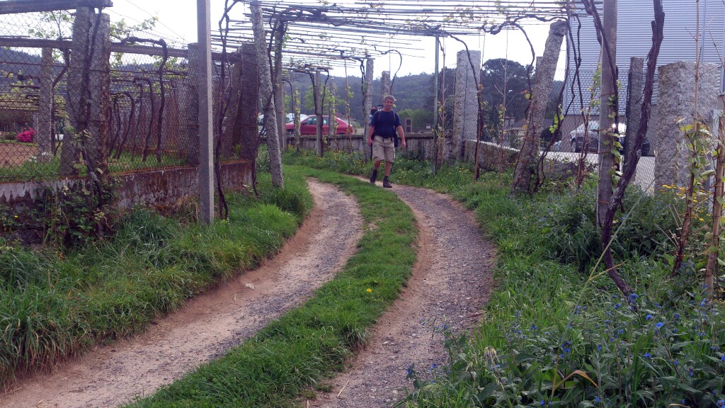 Caminho português