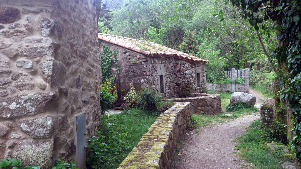 Caminho português