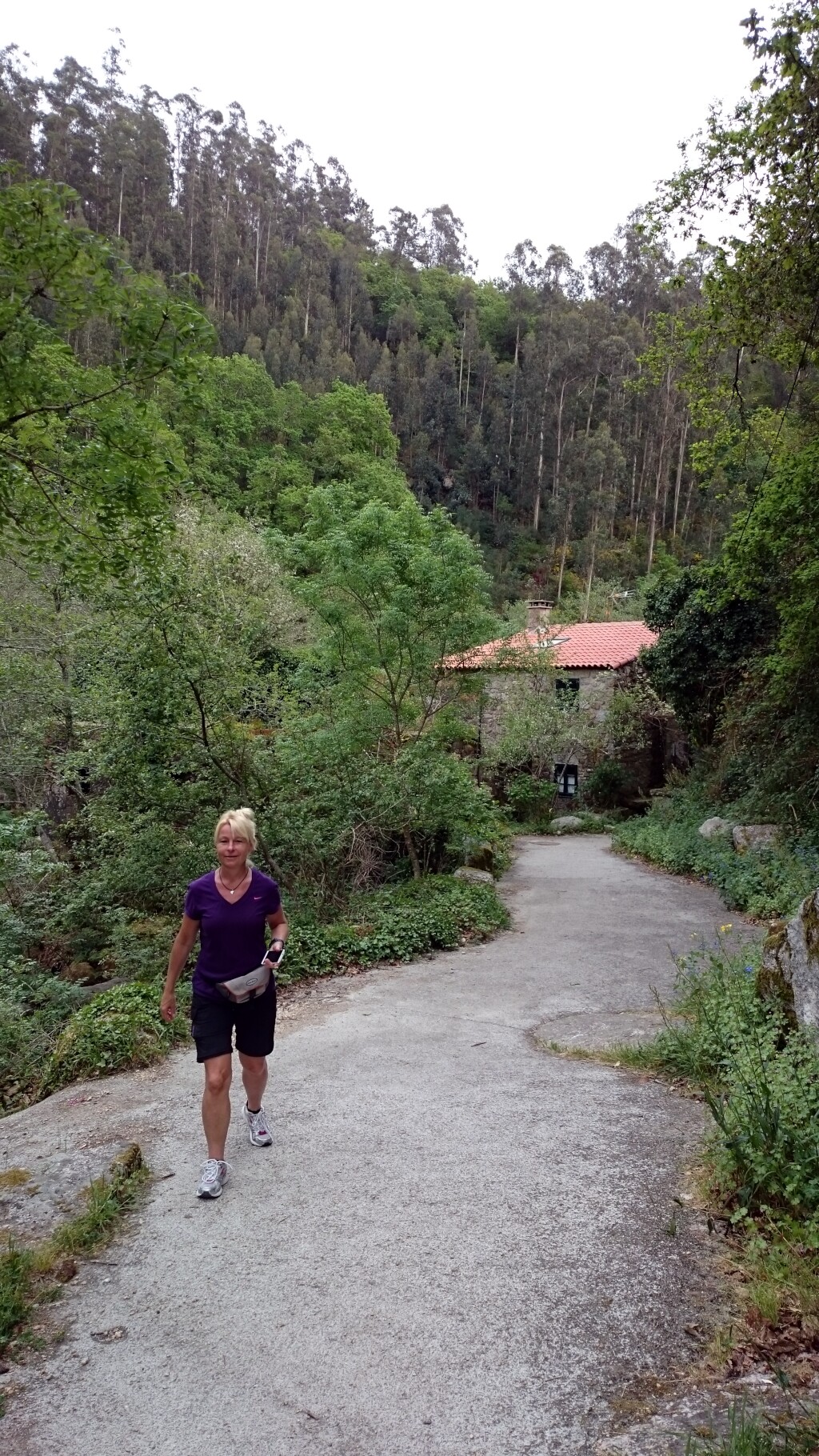Caminho português