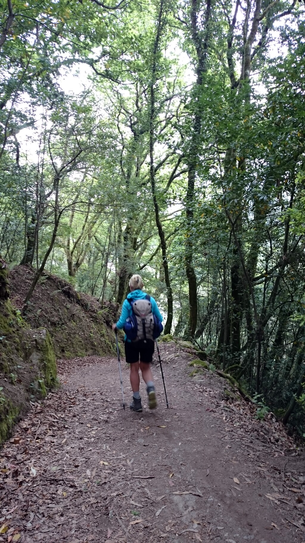 Caminho português