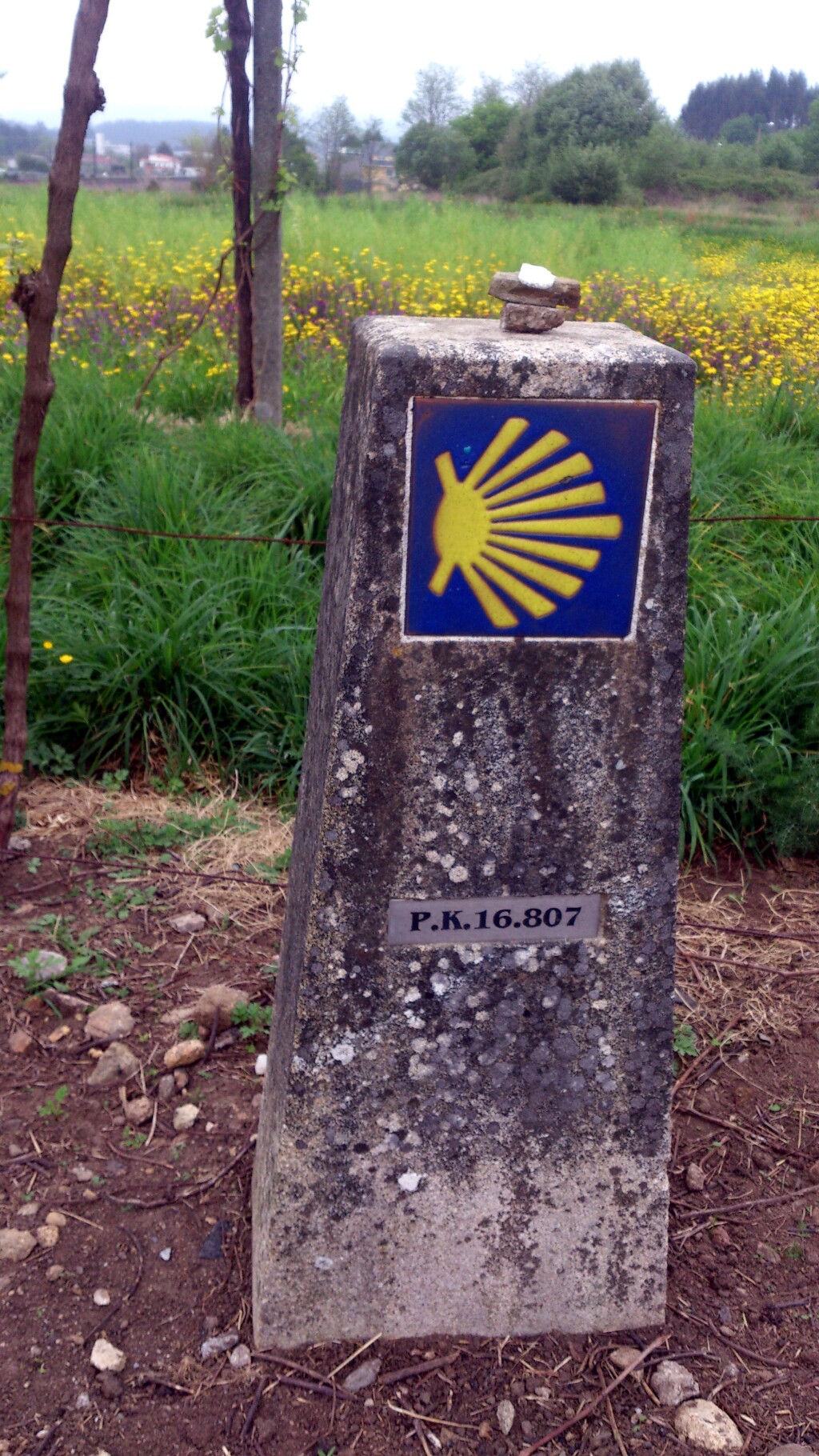 Caminho português