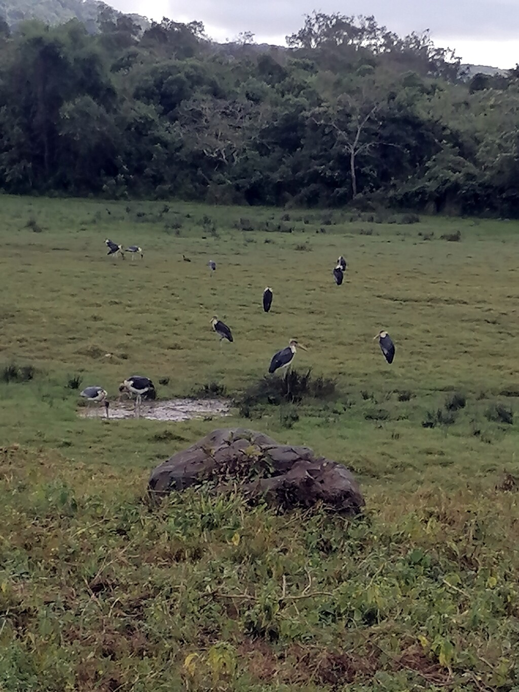 Kilimandscharo & Meru