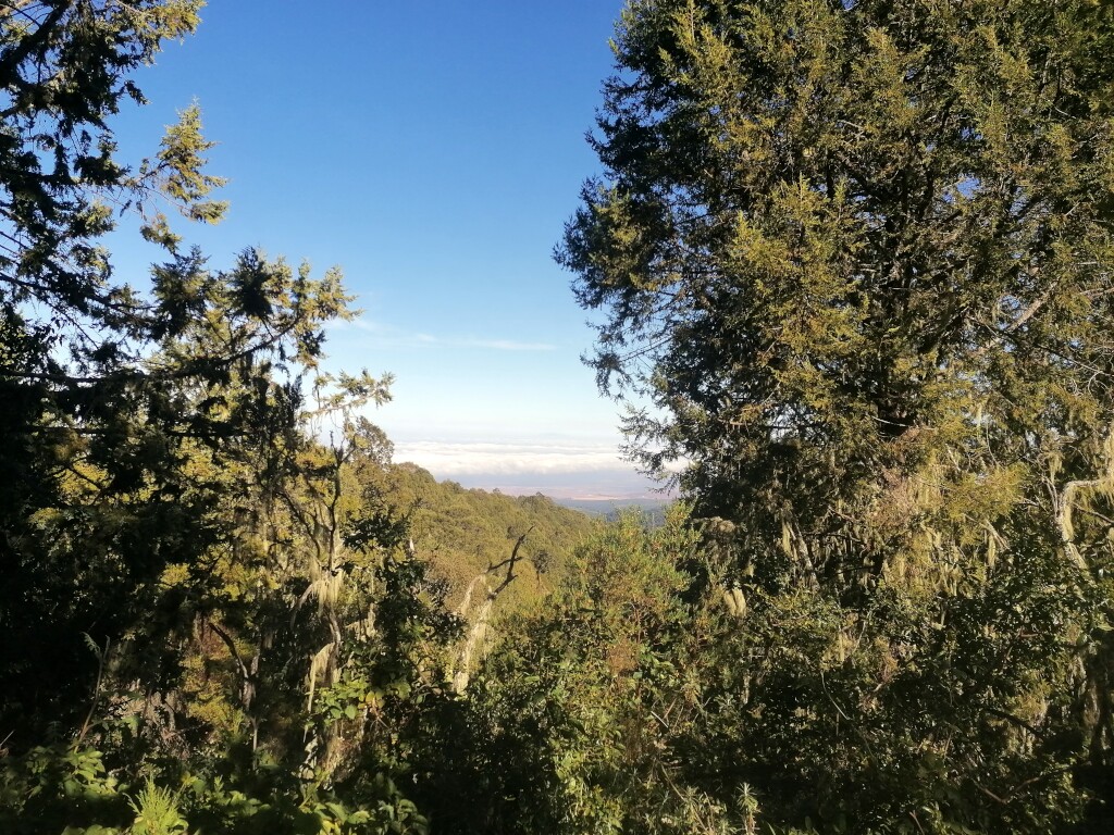 Kilimandscharo & Meru