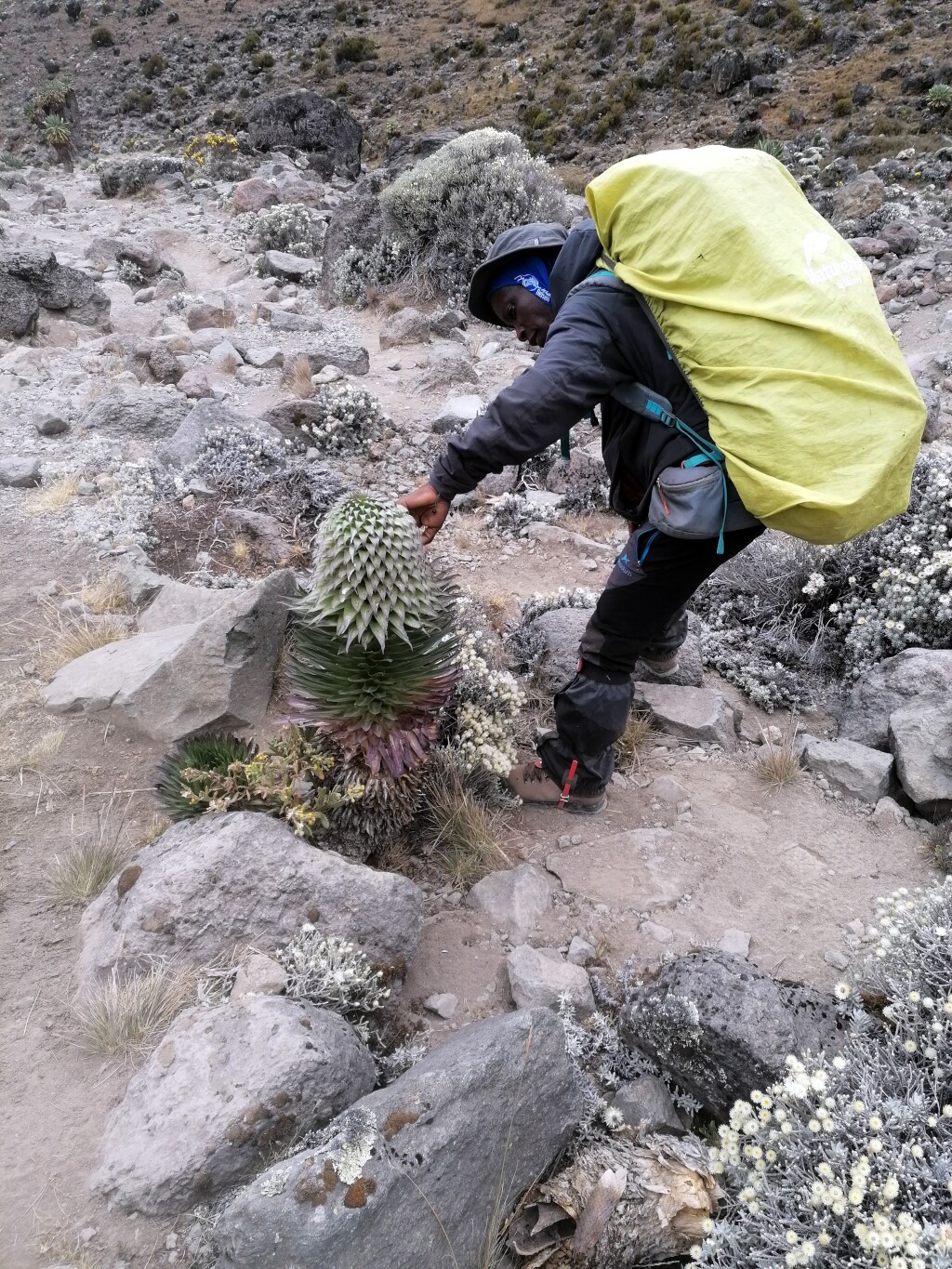 Kilimandscharo & Meru