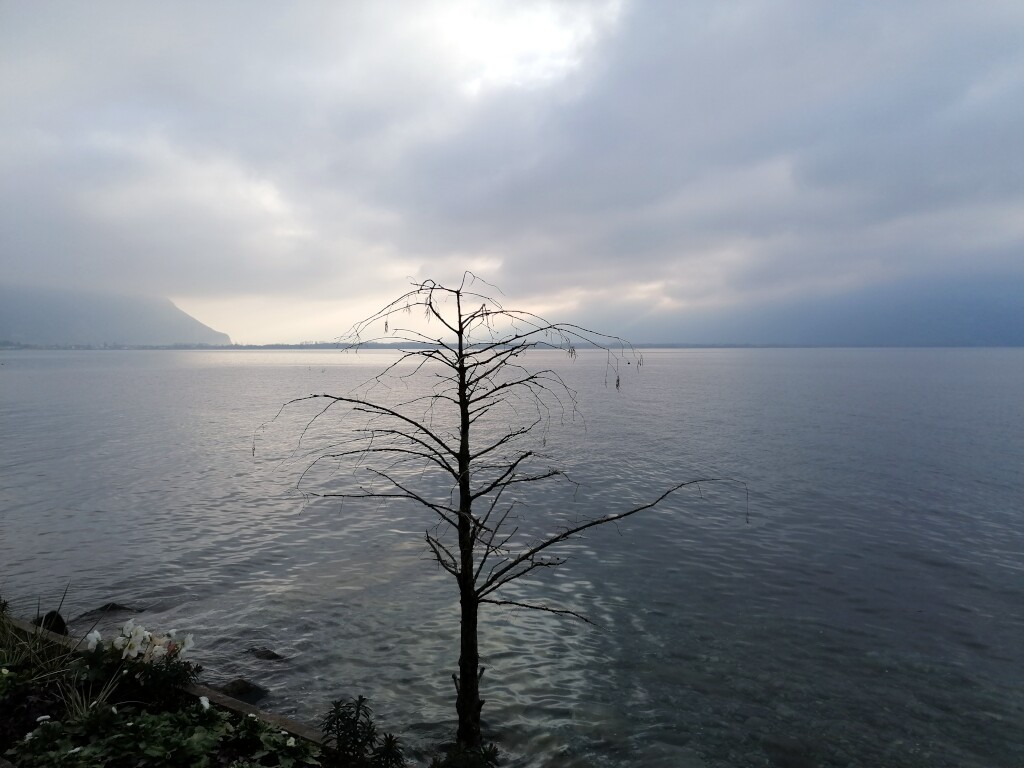 Walliser Alpen