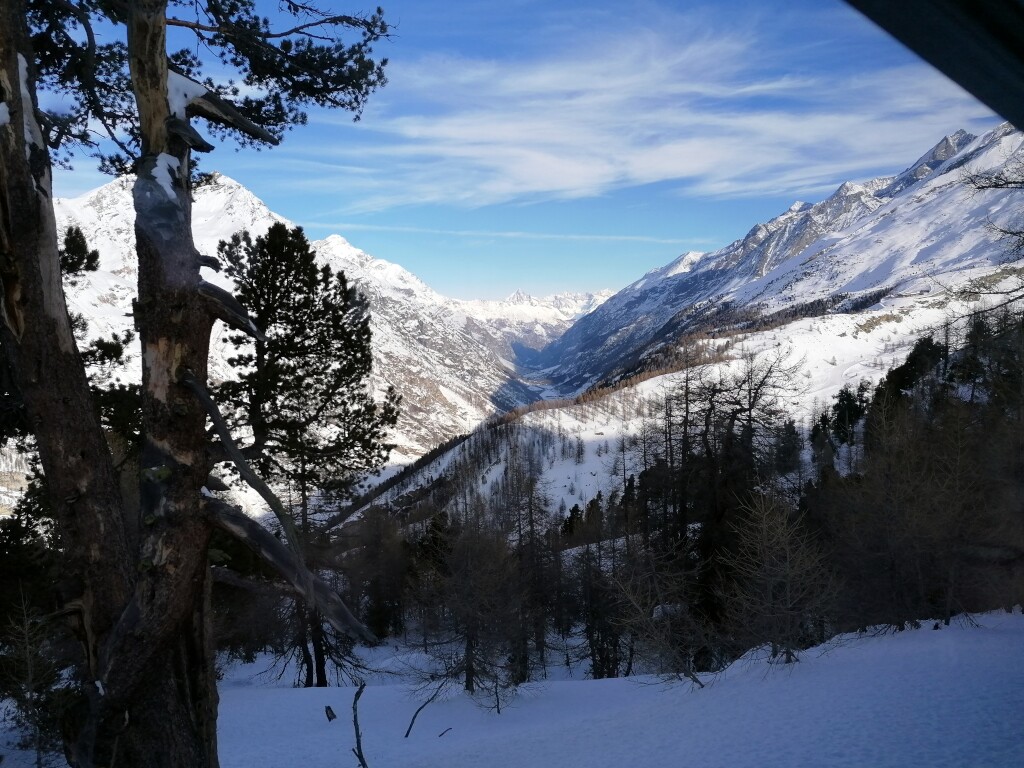 Walliser Alpen