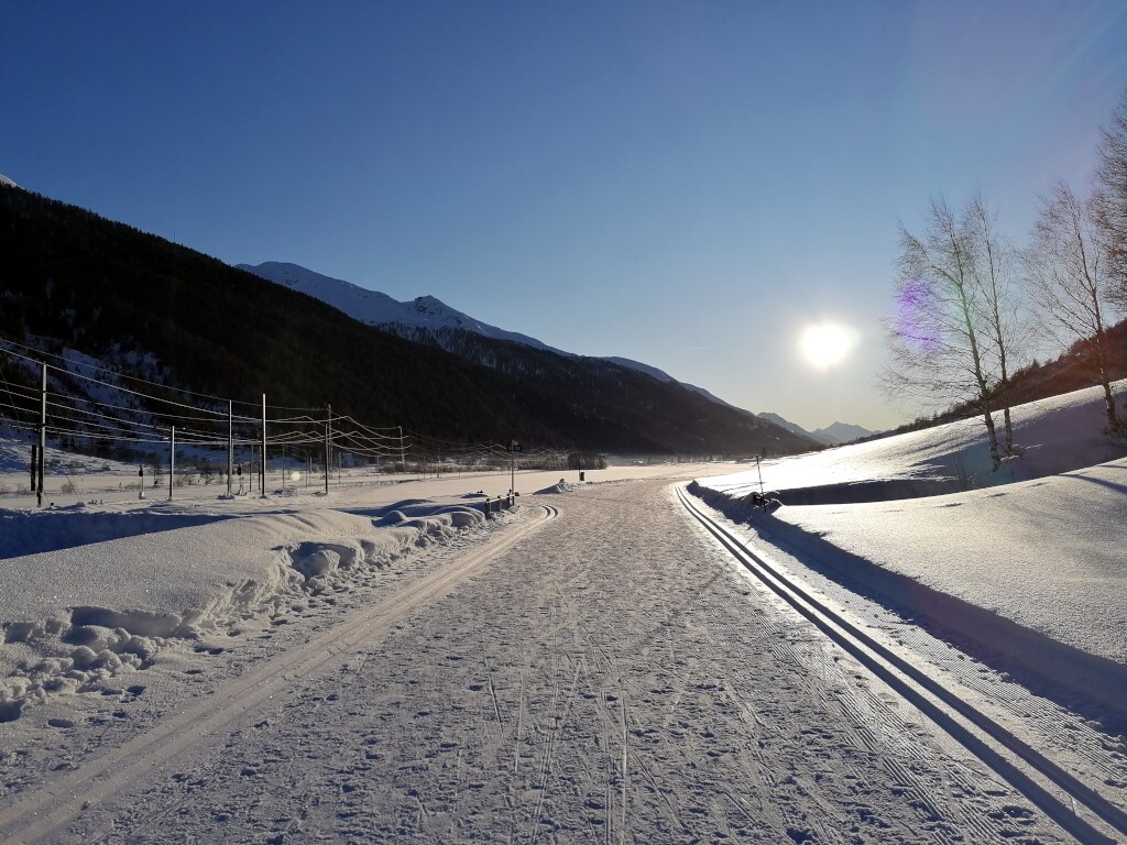 Walliser Alpen