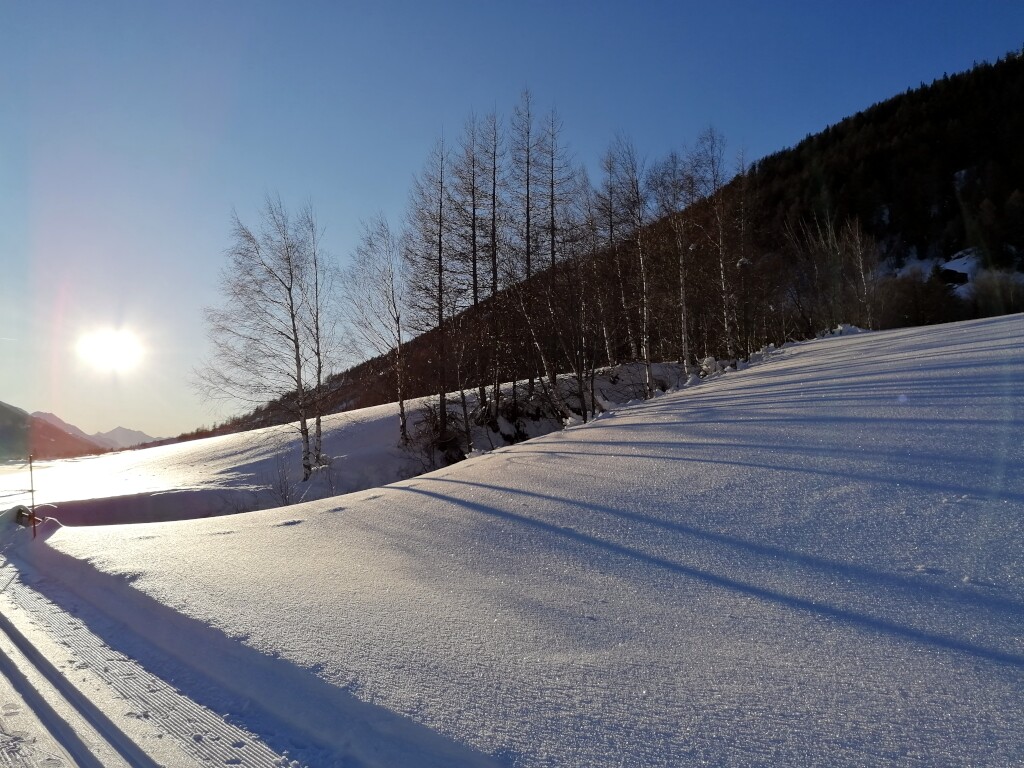Walliser Alpen