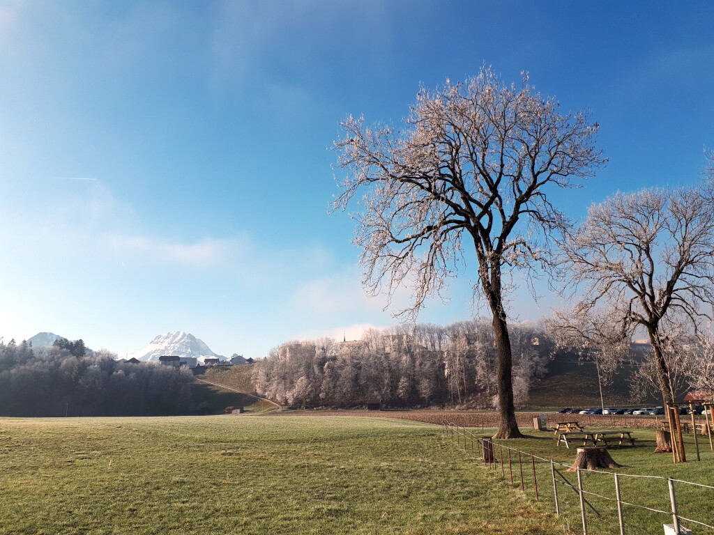 Walliser Alpen