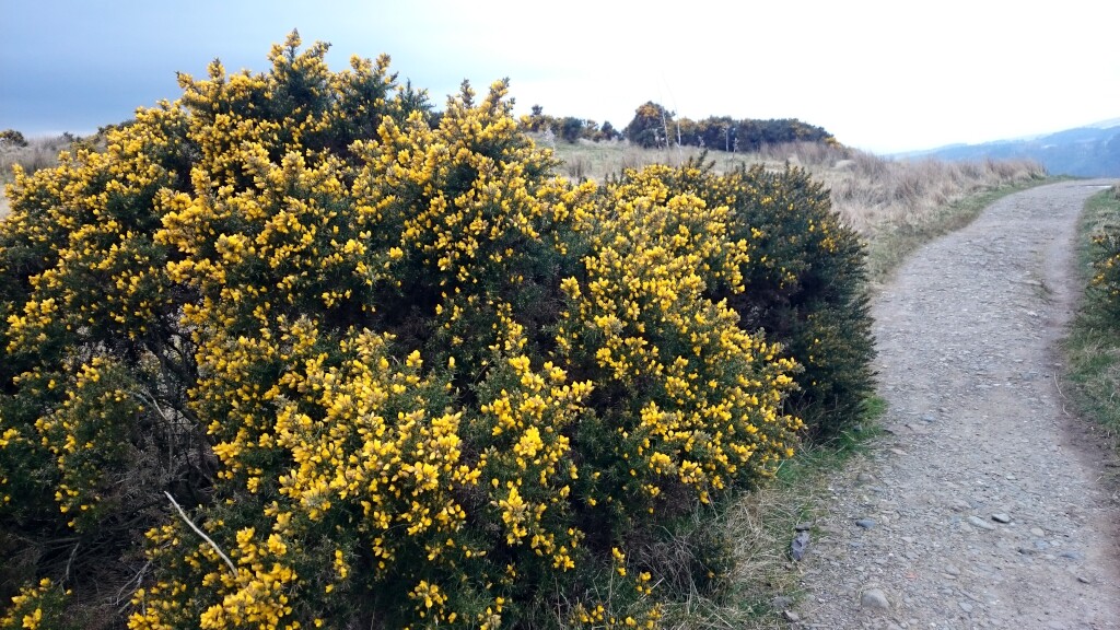 West Highland Way